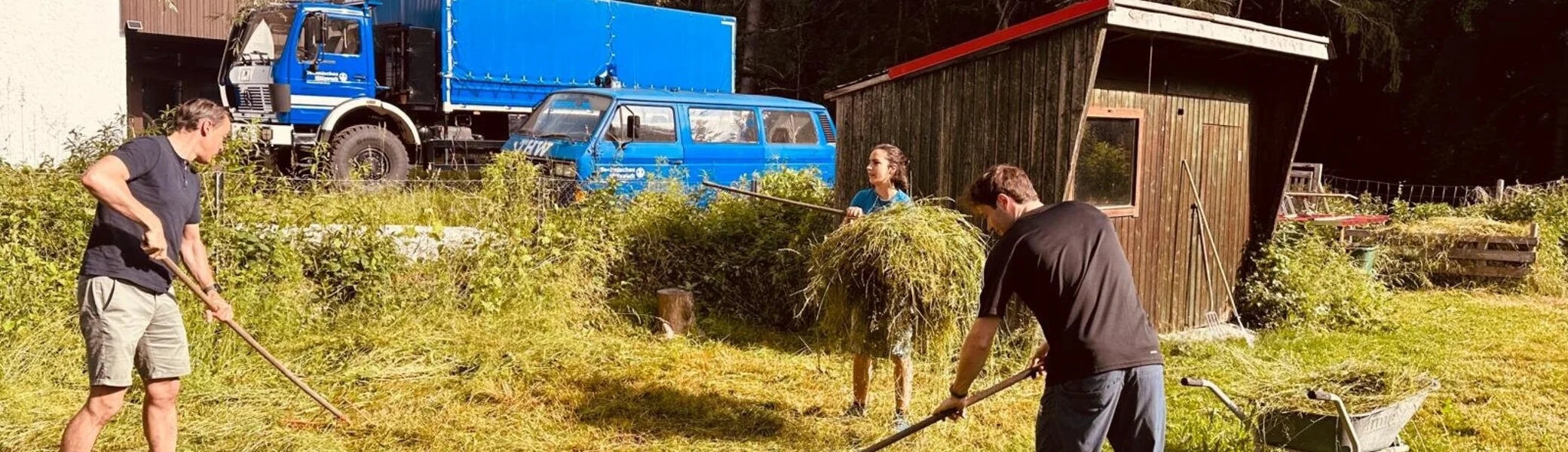 Gemähtes Gras aufrechen | © DAV Starnberg