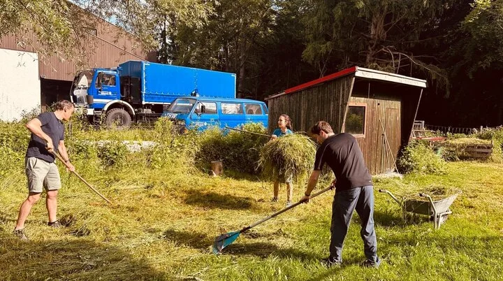 Gemähtes Gras aufrechen | © DAV Starnberg