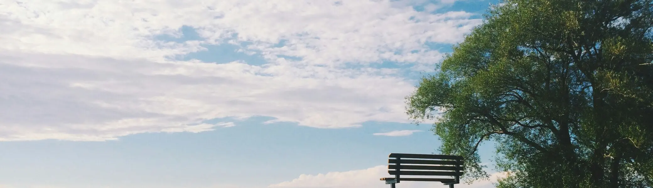 Abschied Werner Taubmann - Bank auf Hügel vor teilsbewölkt teils heiterem Himmel | © Noah Siliman | unsplash
