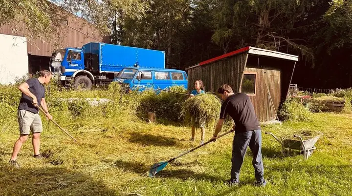Gemähtes Gras aufrechen | © DAV Starnberg