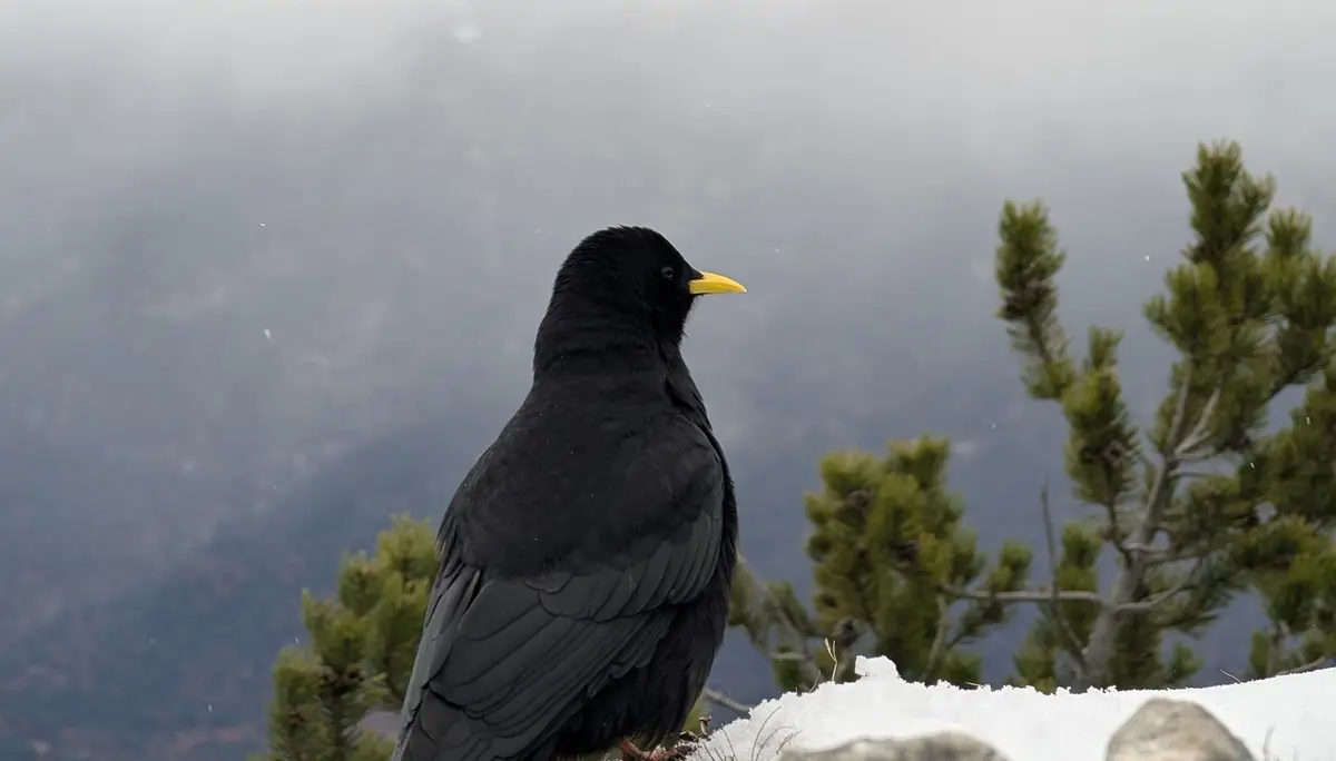 Tierischer Besuch | © DAV Starnberg - Marc Werny