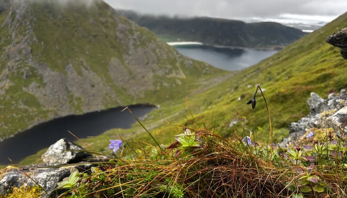 See unterhalb des Vagen mit Blick auf den Haukland Beach | © DAV Starnberg - Sina Bakenhus