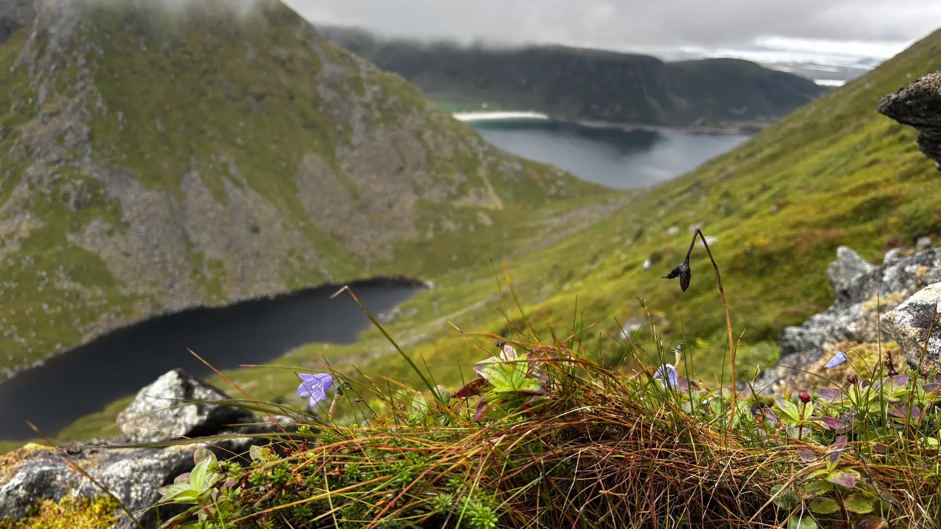 See unterhalb des Vagen mit Blick auf den Haukland Beach | © DAV Starnberg - Sina Bakenhus