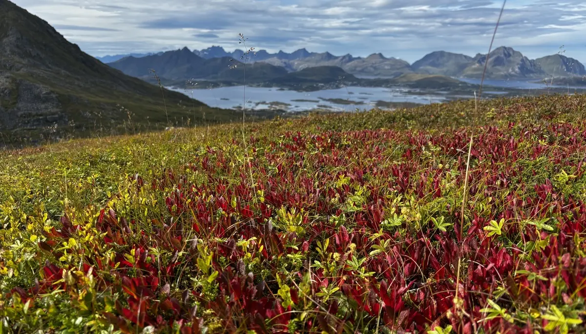 Bergflora | © DAV Starnberg - Sina Bakenhus