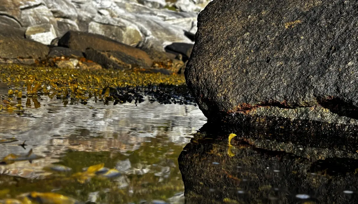 Spiegelung im Wasser | © DAV Starnberg - Sina Bakenhus