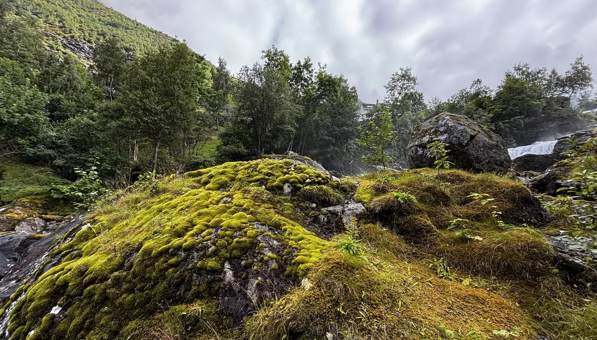 Steine neben Kleivafossen | © DAV Starnberg - Sina Bakenhus