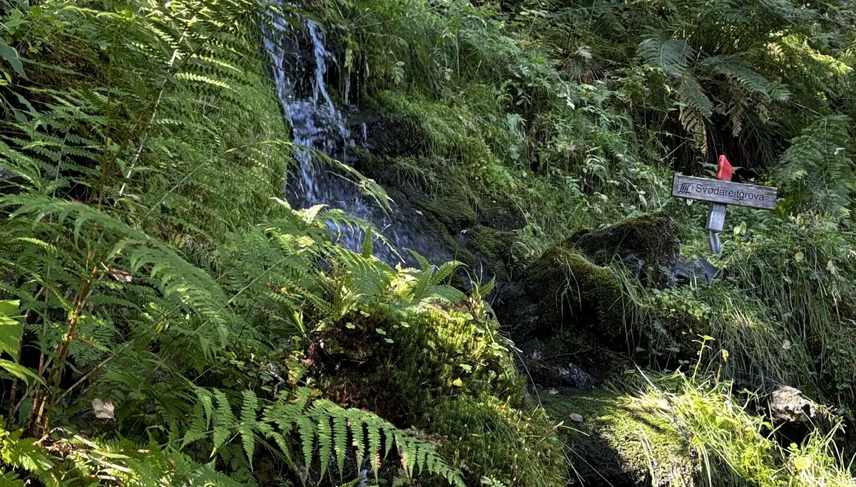 Kleiner Wasserlauf auf Wanderung | © DAV Starnberg - Sina Bakenhus