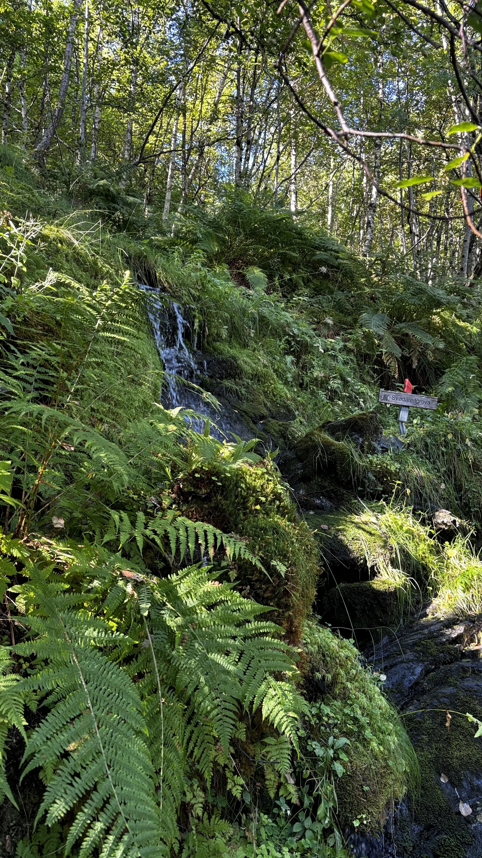 Kleiner Wasserlauf auf Wanderung | © DAV Starnberg - Sina Bakenhus