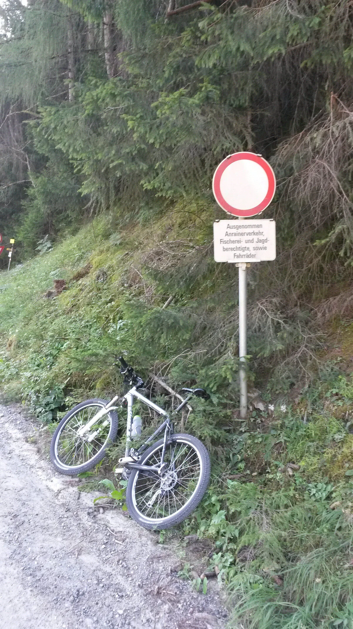 Beginn der Forststraße | © DAV Starnberg