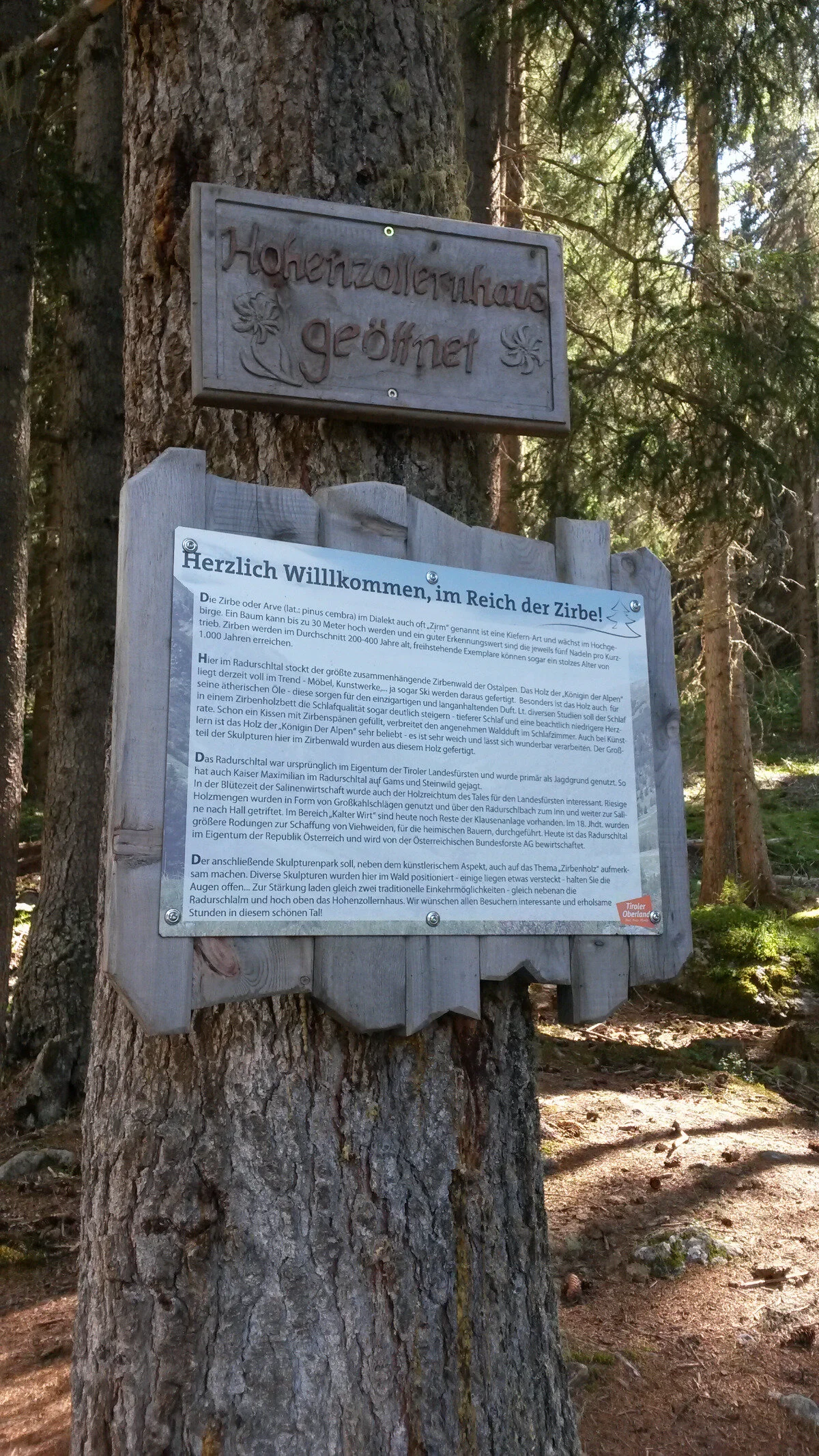 Im Zirbenwald | © DAV Starnberg