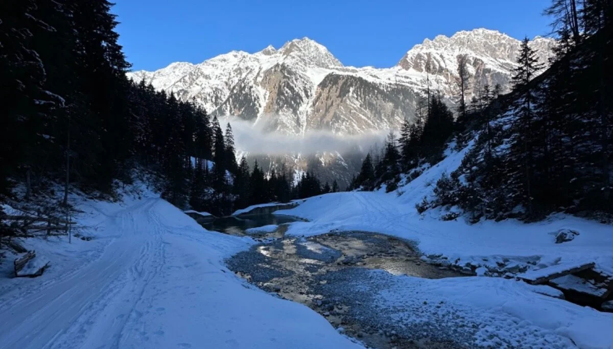 Tribulaun1 | © DAV Starnberg