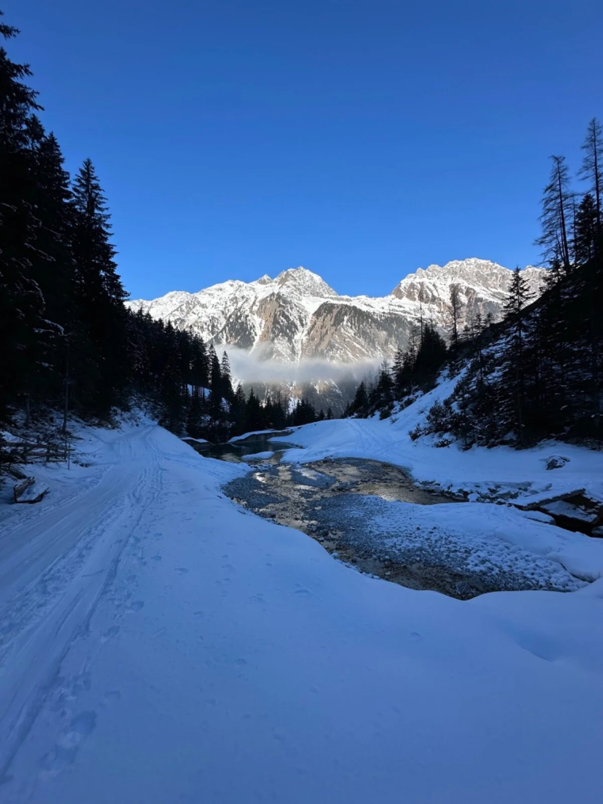 Tribulaun1 | © DAV Starnberg