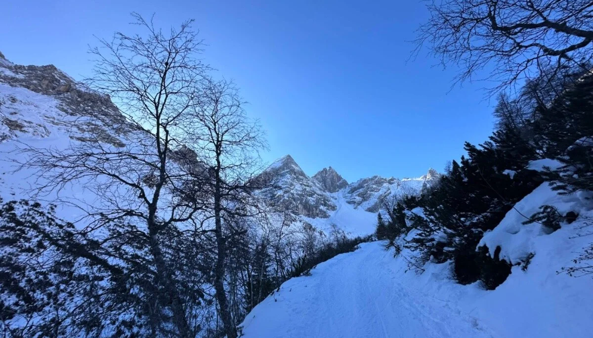 Tribulaun2 | © DAV Starnberg