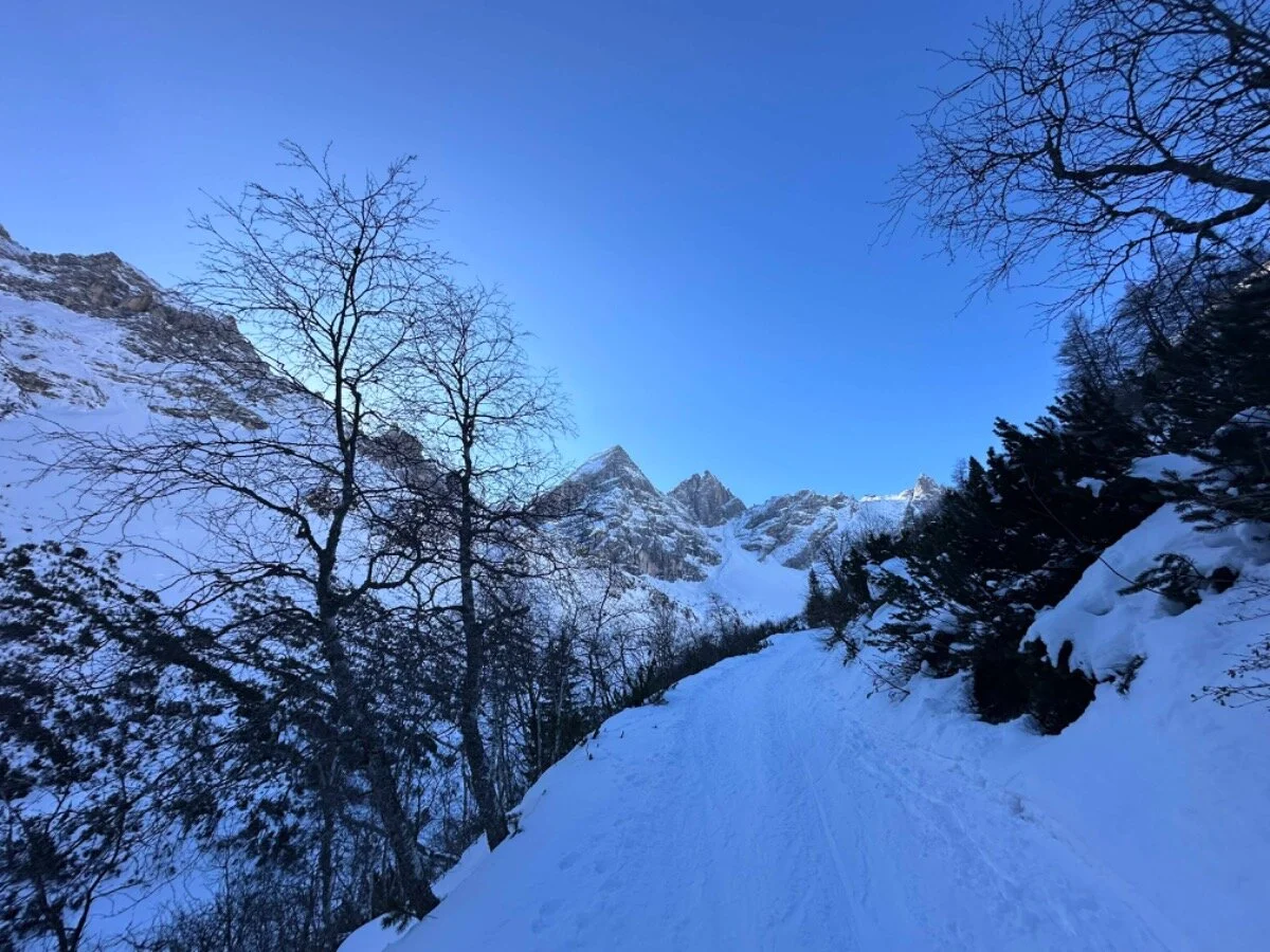 Tribulaun2 | © DAV Starnberg