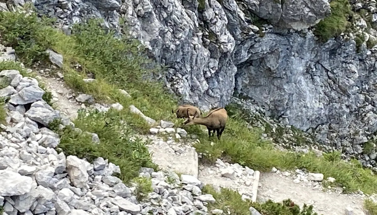 Alpspitze über Matheisenkar und Ferrata | © DAV Starnberg