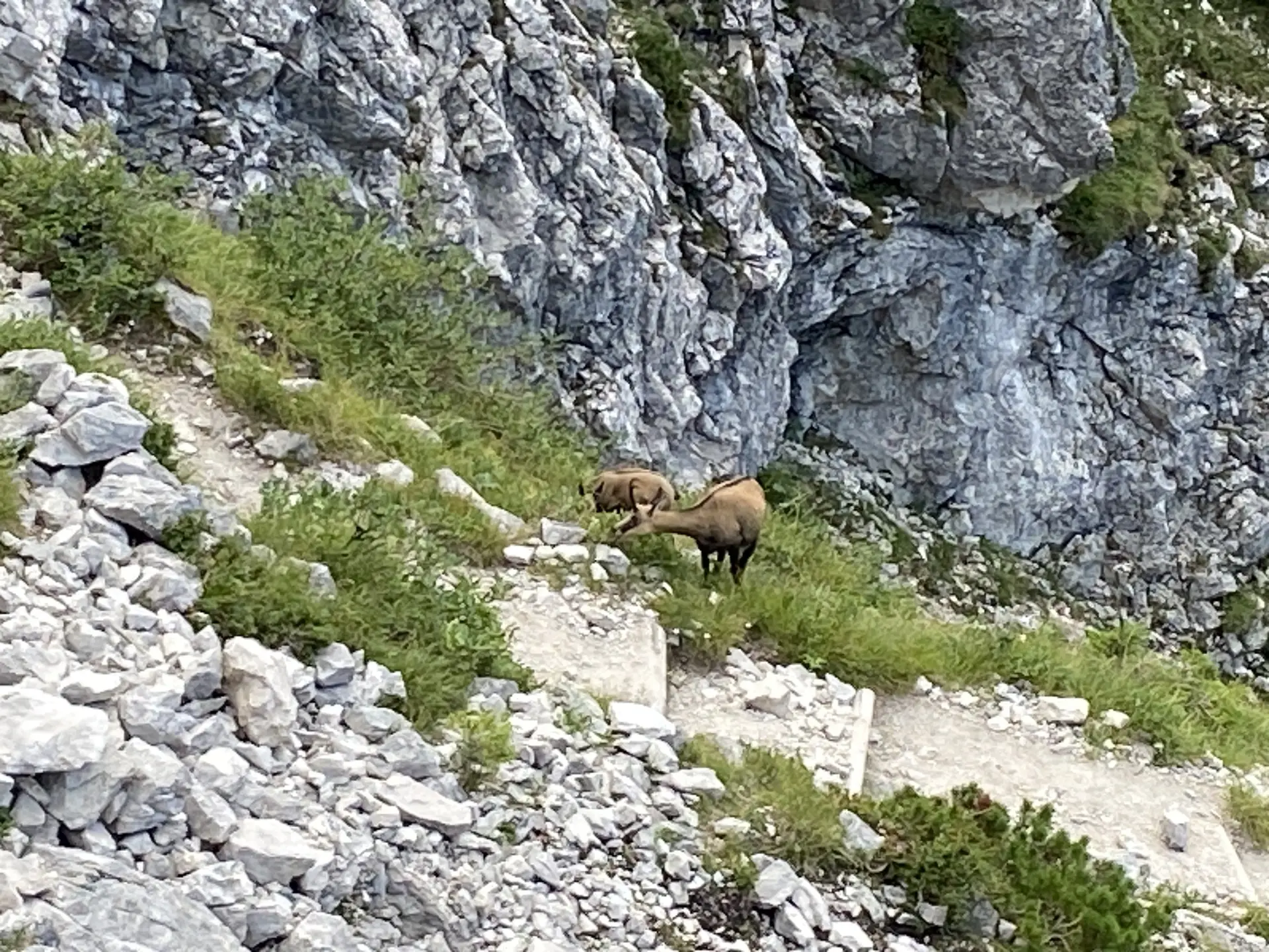 Alpspitze über Matheisenkar und Ferrata | © DAV Starnberg