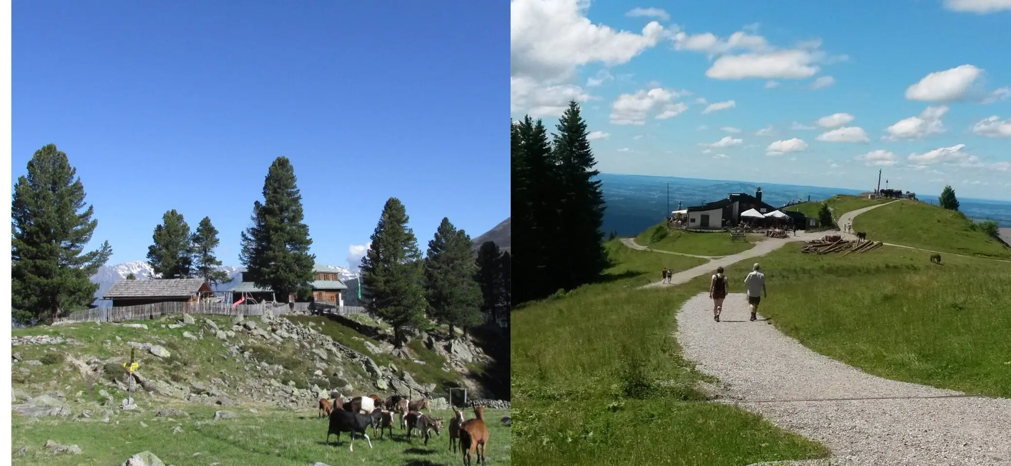 Hörnlehütte und Hohenzollernhaus Fotocollage | © DAV Starnberg