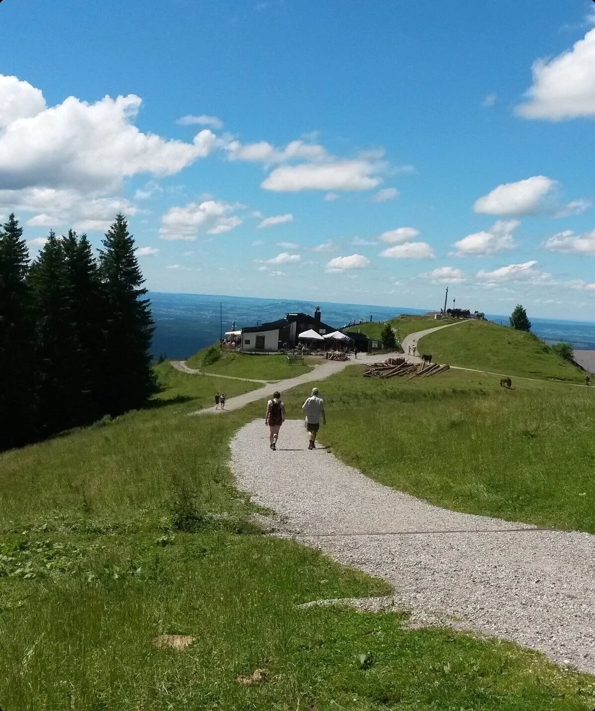 Hörnlehütte von oben mit Forstweg im Vordergrund | © DAV Starnberg