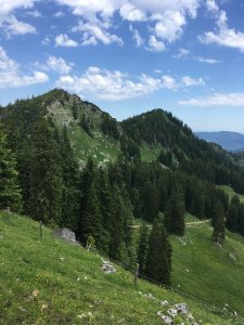 Blick zurück
