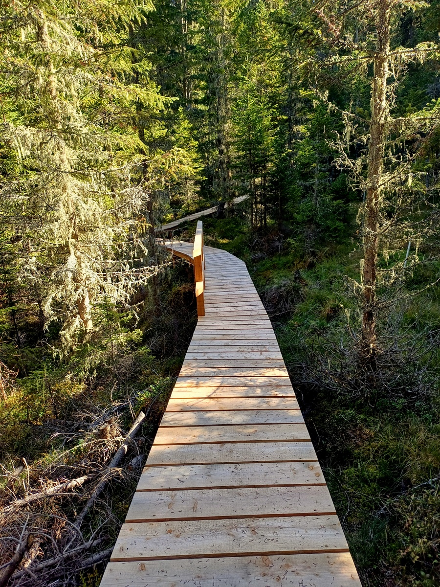 Steg vom neuen Weg am HZH