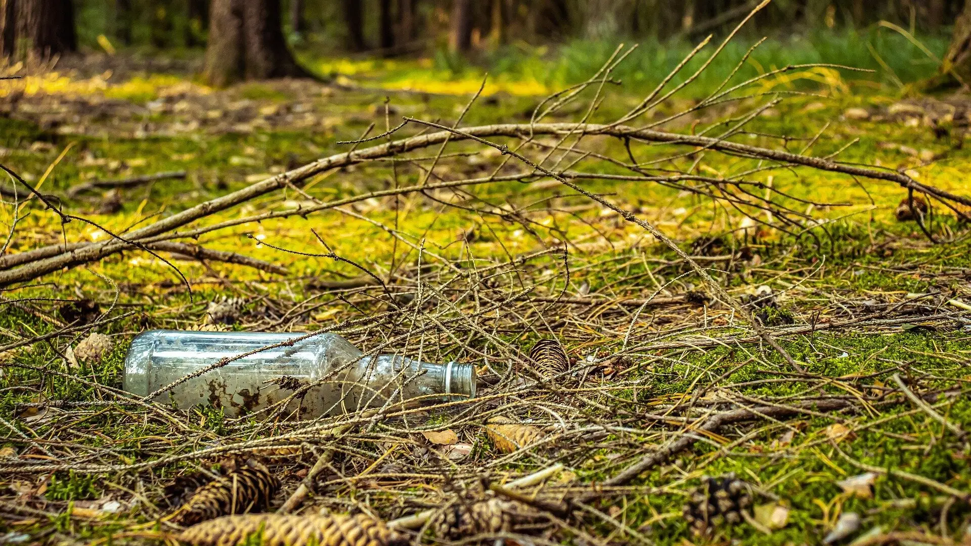 Eine leere Flasche im Wald | © Kamil Miłkowski/ pixabay
